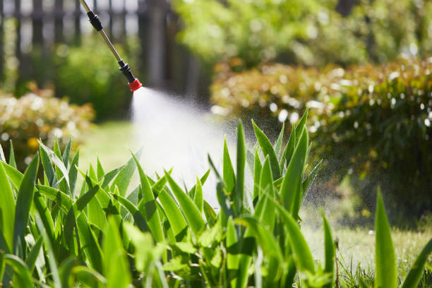 24/7 Emergency Mosquito Control experts in Morrison, IL