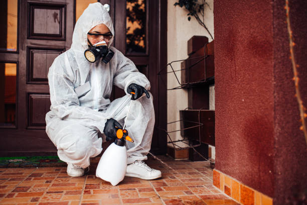 Reliable Mosquito Control contractor in Morrison, IL by Show Me Pest Control